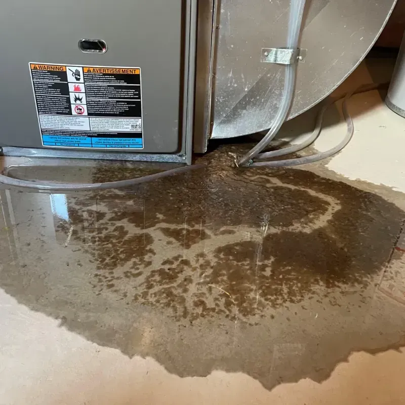 Appliance Leak Cleanup in West Liberty, WV